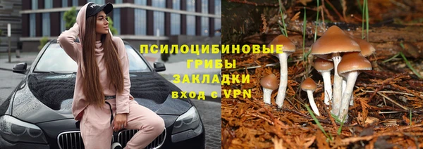 марихуана Белокуриха