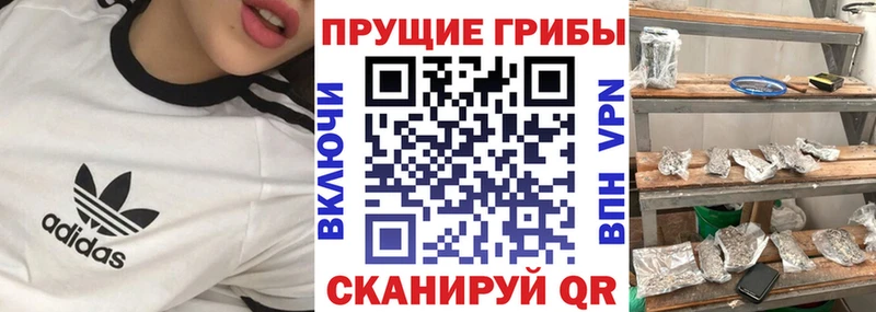 Галлюциногенные грибы Psilocybine cubensis Маркс
